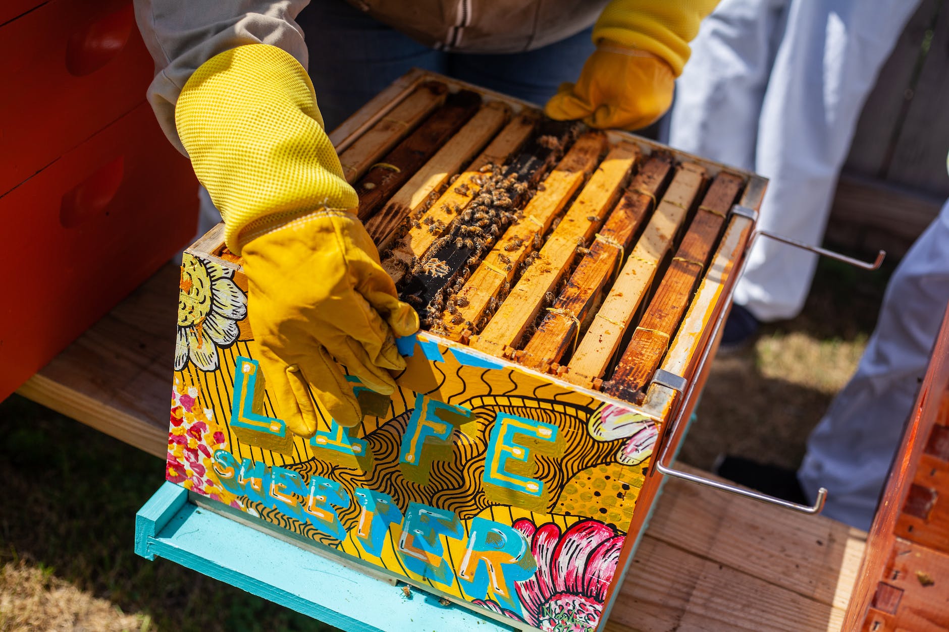 Why Beekeeping is more than Just a Hobby: Discover the Hidden Benefits - Enhancing the culinary experience with homemade honey-based products